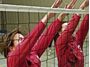 Afbeelding van Volleybalnet standaard
