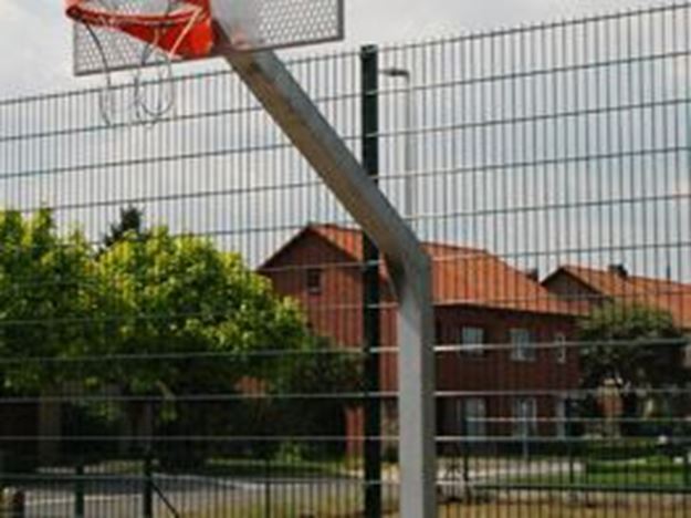 Afbeelding van Basketbal: stalen paal