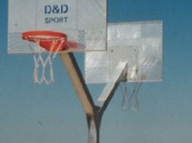 Afbeelding van Basketbal: stalen paal (Y)