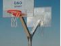 Afbeelding van Basketbal: stalen paal (Y)