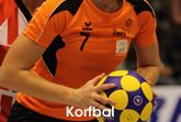 Afbeelding voor categorie Korfbal