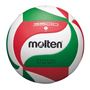 Afbeelding van Molten VM3500