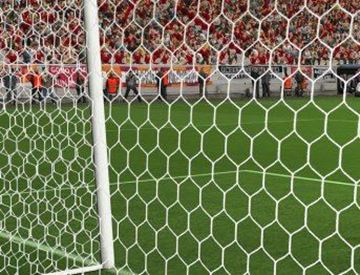 Afbeelding van Doelnetten 7,5x2,5x2x2m - hexagonaal - 4mm - wit