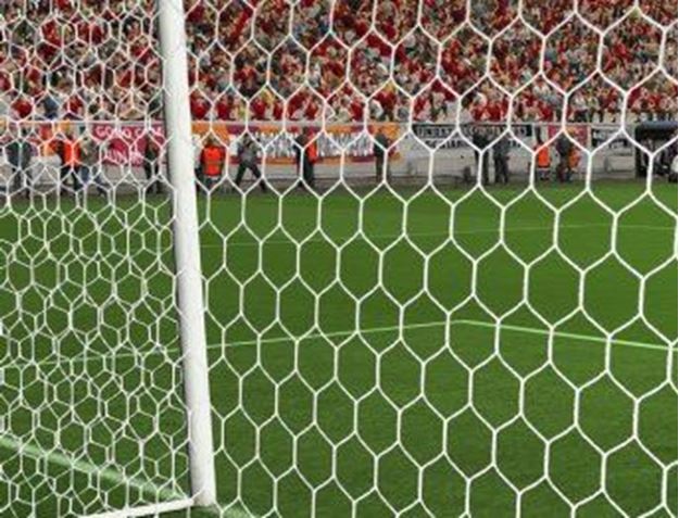 Afbeelding van Doelnetten 7,5x2,5x2x2m - hexagonaal - 4mm - wit