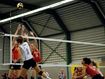 Afbeelding van Volleybalnet wedstrijdnet - 3mm, kevlar kabel , 4-punts netophanging