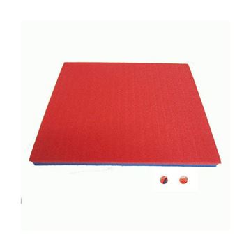 Afbeelding van Zwemplank hard S blauw/rood 