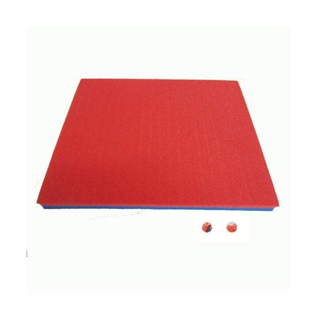 Afbeelding van Zwemplank hard S blauw/rood 