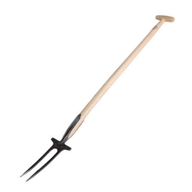 Afbeelding van Steekvork (dubbele tand)