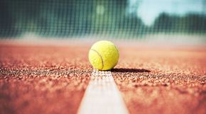 Afbeelding voor categorie Tennis - Padel - Pickleball