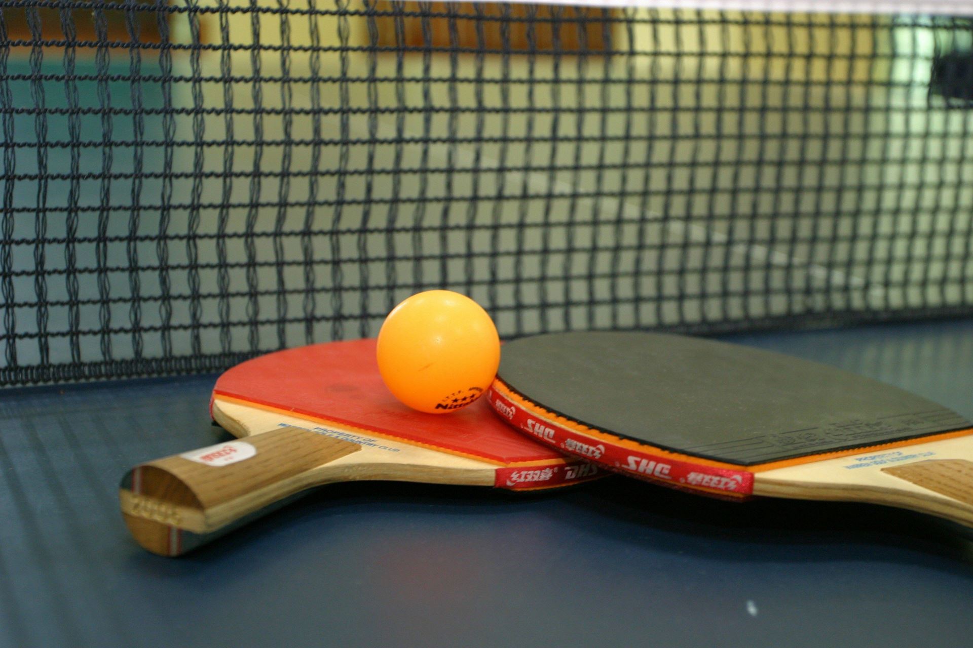 Afbeelding voor categorie Tafeltennis paletjes