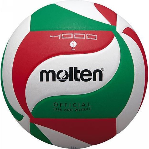 Afbeelding van Molten VM4000