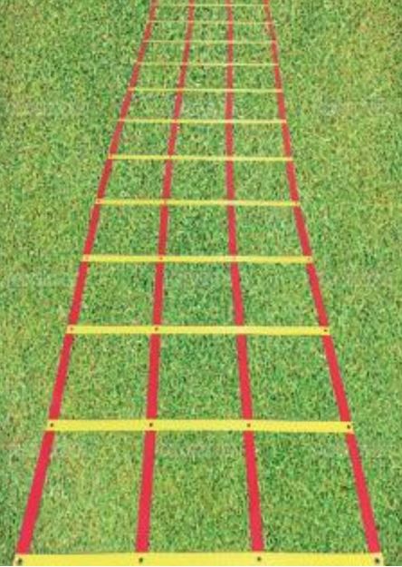 Afbeelding van Trippele loopladder / Coördinatieladder. 4,65m
