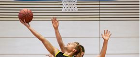 Afbeelding voor categorie Basketbal