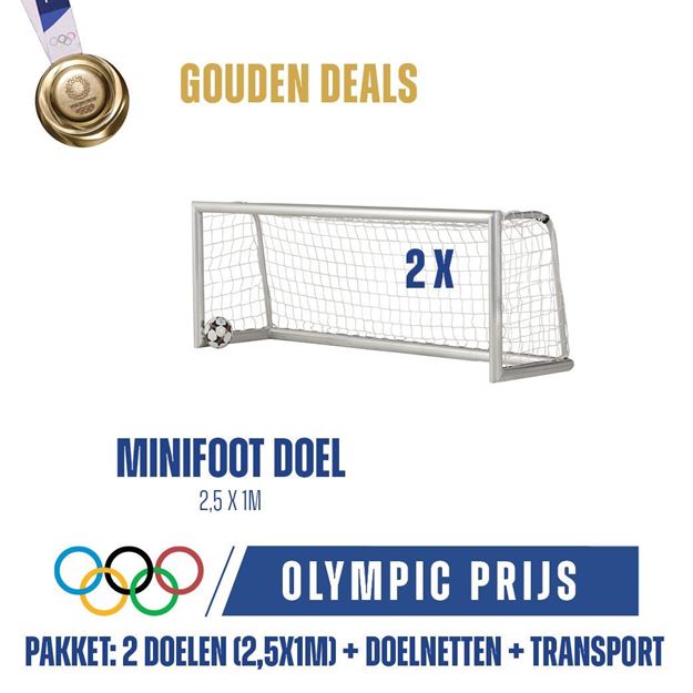 Afbeelding van Voetbaldoel - Mini-voetbaldoelen 2,5X1m, PRO, 1 paar doelen