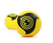 Afbeelding van Spikeball Pro