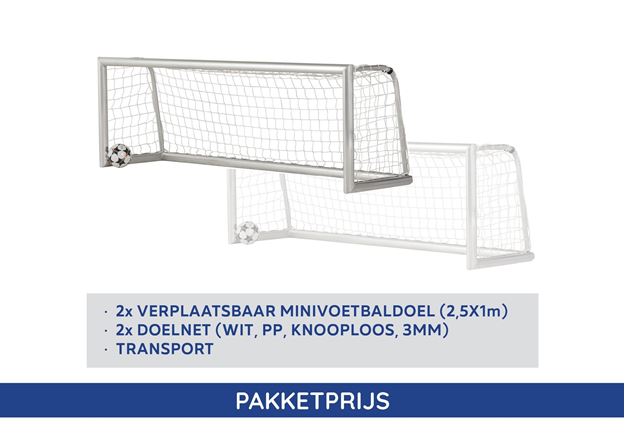 Afbeelding van Voetbaldoel - Mini-voetbaldoelen 2,5X1m (2 stuks), standaard