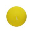 Afbeelding van Médecine ball soepel, opblaasbaar 1kg