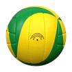 Afbeelding van Beach Volleybal Sporti