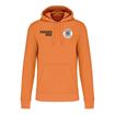 Afbeelding van Hoodie Powerade