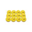 Afbeelding van Hockeybal Reece Indoor, set van 12 stuks