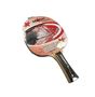 Afbeelding van Tafeltennispallet Magic 4 Star