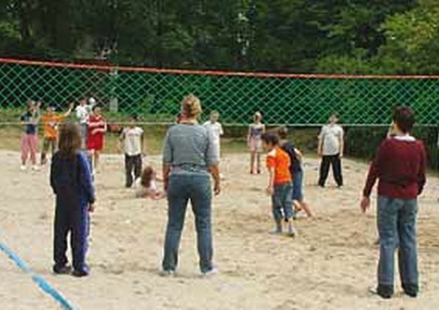 Afbeelding van Volleybalnet Clips