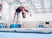 Afbeelding van Airtrack P2 (lengtes: 4-6-8-10-12-15m)