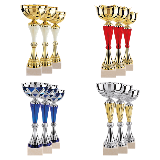 Afbeelding van Set van 12 bekers, model 2