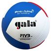 Afbeelding van GALA Volleybal Pro-line 5595S