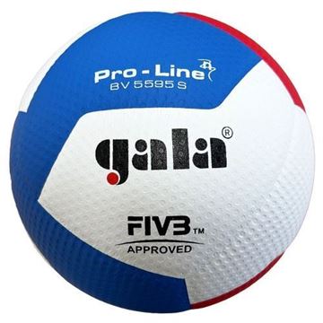 Afbeelding van GALA Volleybal Pro-line 5595S