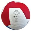 Afbeelding van GALA Volleybal Pro-line 5595S