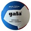 Afbeelding van GALA Volleybal Pro-line 5586S