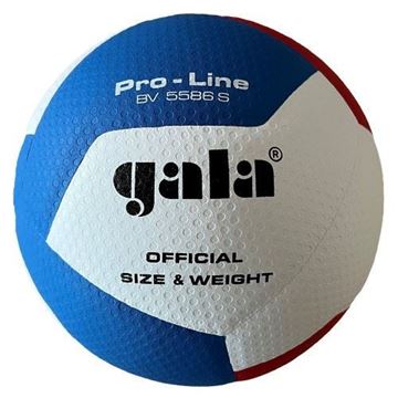 Afbeelding van GALA Volleybal Pro-line 5586S
