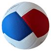 Afbeelding van GALA Volleybal Pro-line 5586S