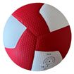 Afbeelding van GALA Volleybal Pro-line 5586S