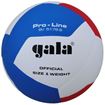 Afbeelding van GALA Volleybal Pro-line 5176S