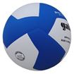 Afbeelding van GALA Volleybal Pro-line 5176S