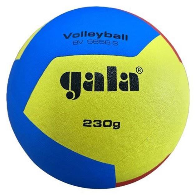Afbeelding van GALA Volleybal Jeugd-/Minibal 230 gr, GA5656S
