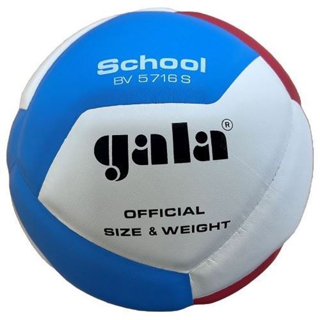 Afbeelding van GALA Volleybal School 10, GA5716S