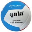 Afbeelding van GALA VolleybalPro-line GA5576S