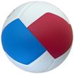 Afbeelding van GALA VolleybalPro-line GA5576S