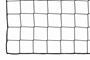 Afbeelding van Ballenvangersnet - PP - 3mm - 25x5- Maas 120mm
