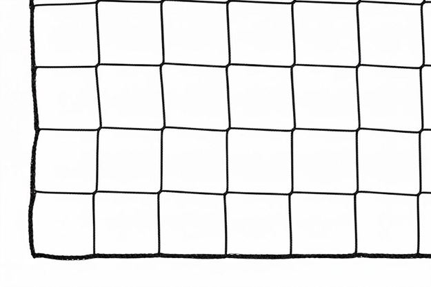 Afbeelding van Ballenvangersnet op maat